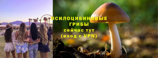 марки lsd Белоозёрский